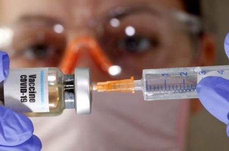 Pesquisadores do Ceará solicitam patente para uso de vacina veterinária contra a Covid-19 em humanos