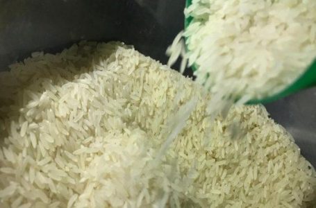 Governo zera imposto de importação do arroz até o final do ano