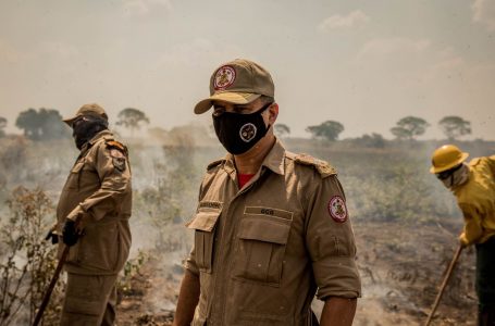 Ministros da Agricultura e Meio Ambiente confirmam ida ao Pantanal