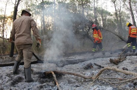 Chuva e força-tarefa ajudam a reduzir focos de incêndio no Pantanal, segundo governo; situação ainda é de alerta