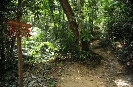 Governo cria Cadastro Ambiental Urbano