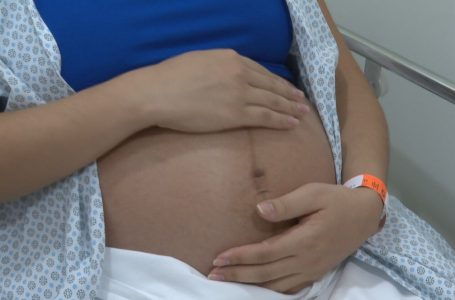 Vírus não contamina óvulos de mulheres grávidas com Covid-19, revela estudo