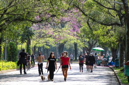 Prefeitura de São Paulo fará marcações no gramado de 70 parques para reabertura