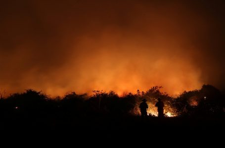 Pantanal tem 8.106 pontos de incêndio em setembro; ano já tem o maior número de focos da história