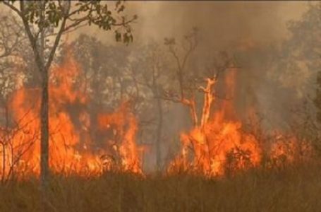 Com 2.825 pontos de incêndio, Pantanal tem pior outubro da história, indicam dados do Inpe