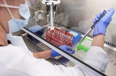 Oxford anuncia que vacina induziu ‘fortes respostas imunes’ em voluntários idosos em testes de fase 2