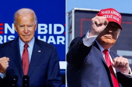 Eleição nos EUA: 3 em 4 brasileiros que vivem no país votam em Biden, diz pesquisa que apontou vitória de Trump em 2016