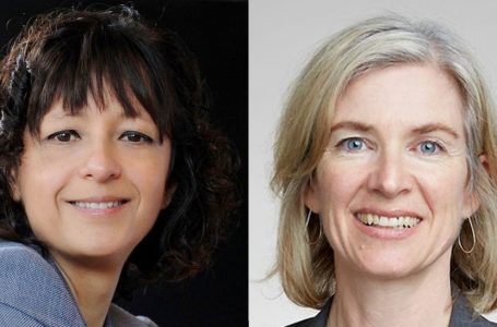 Nobel de Química 2020 vai para Emmanuelle Charpentier e Jennifer Doudna pelo desenvolvimento do Crispr, método de edição do genoma