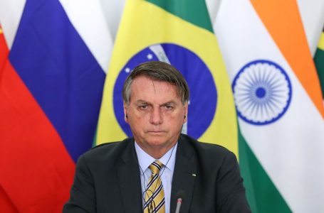 Bolsonaro: Brasil divulgará lista de importadores de madeira ilegal