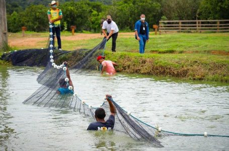 Missão diplomática visita área de regularização fundiária na Amazônia