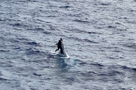 Homem é encontrado em alto mar agarrado ao casco de seu barco um dia após naufragar na costa da Flórida