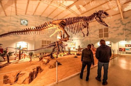 Itatiba ganha o maior Museu de História Natural da América Latina