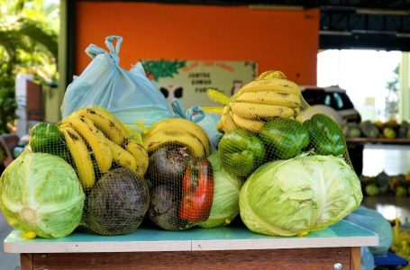 Prefeitura realiza chamada pública para aquisição de alimentos da agricultura familiar