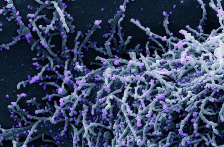 OMS alerta sobre nova fase de covid-19 na Europa