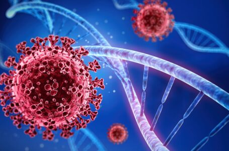 SP tem 86% das cidades sem mortes por Covid-19 na última semana