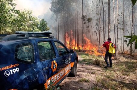 Defesa Civil de Cabreúva: heróis nem sempre usam capa