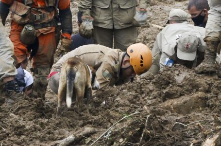 Mortes pela chuva em Petrópolis chegam a 120