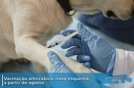 Vacinação antirrábica de cães e gatos terá novo esquema a partir de agosto