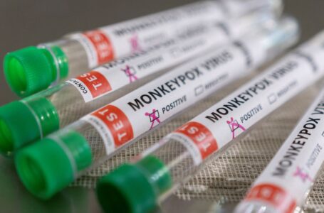 SP capacita profissionais para cuidados com a varíola dos macacos