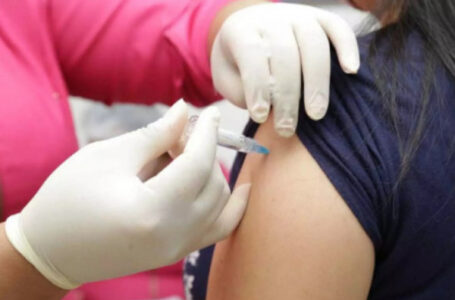 Calendário de vacinação da varíola dos macacos deve sair nesta semana
